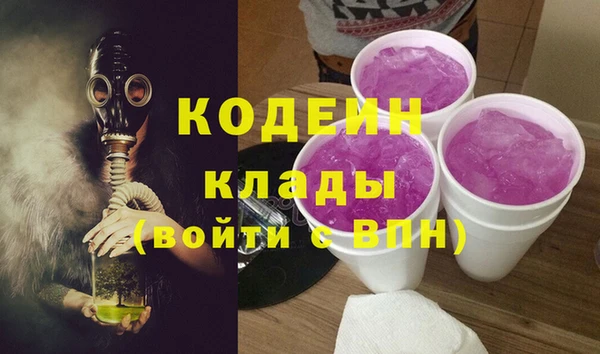 шишки Алзамай