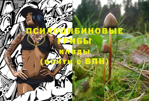 шишки Алзамай