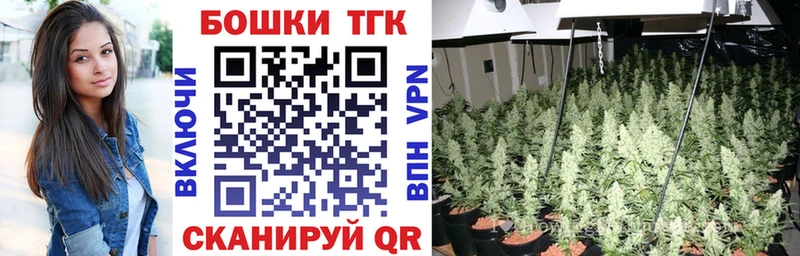 как найти закладки  Камызяк  МАРИХУАНА SATIVA & INDICA 